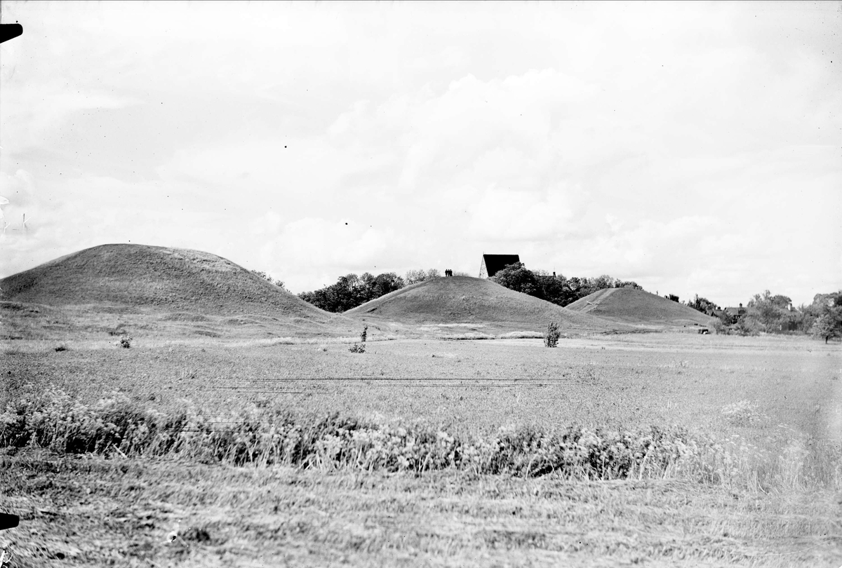 Gamla Uppsala högar, Uppsala