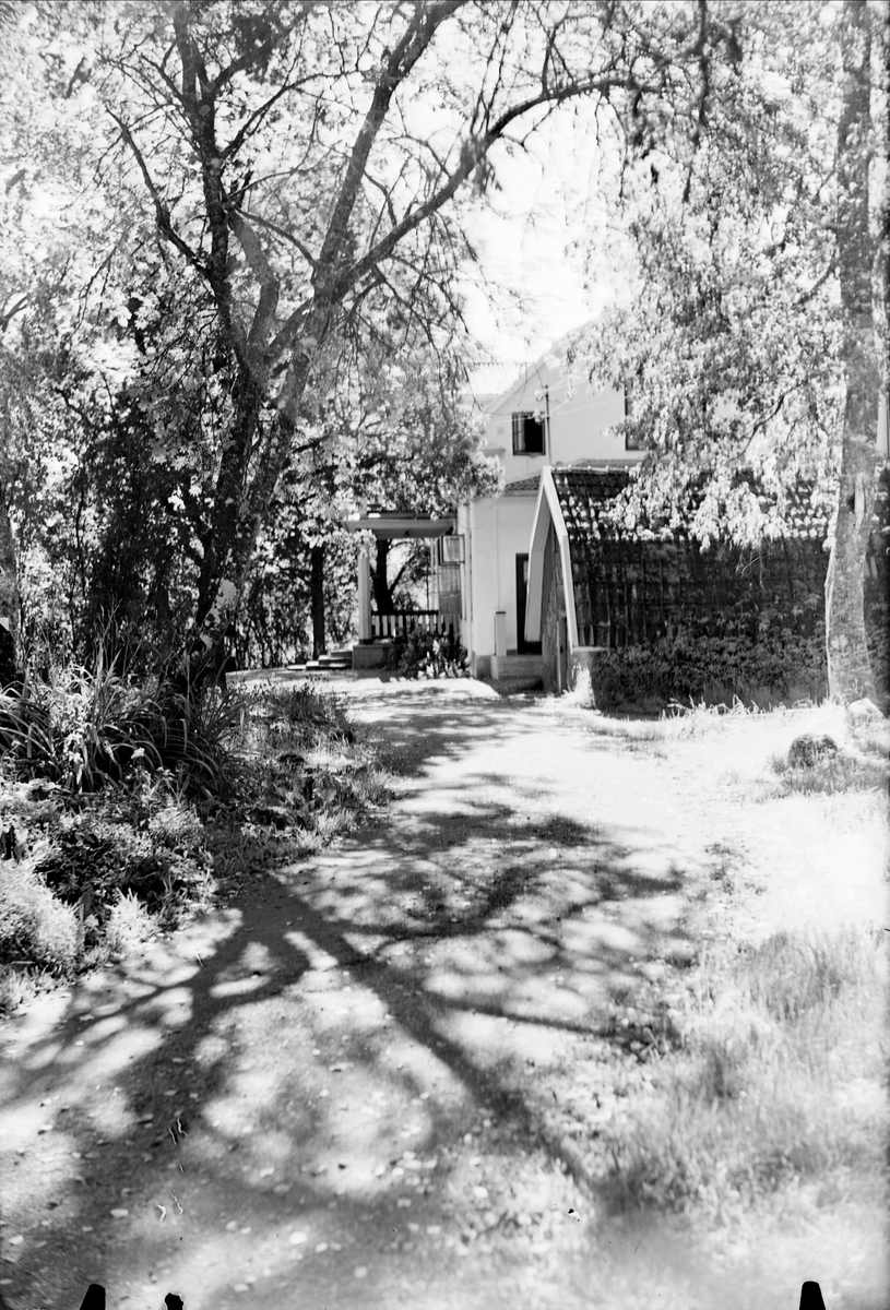 Herrgård, Björknäs gård, Järlåsa socken, Uppland 1948