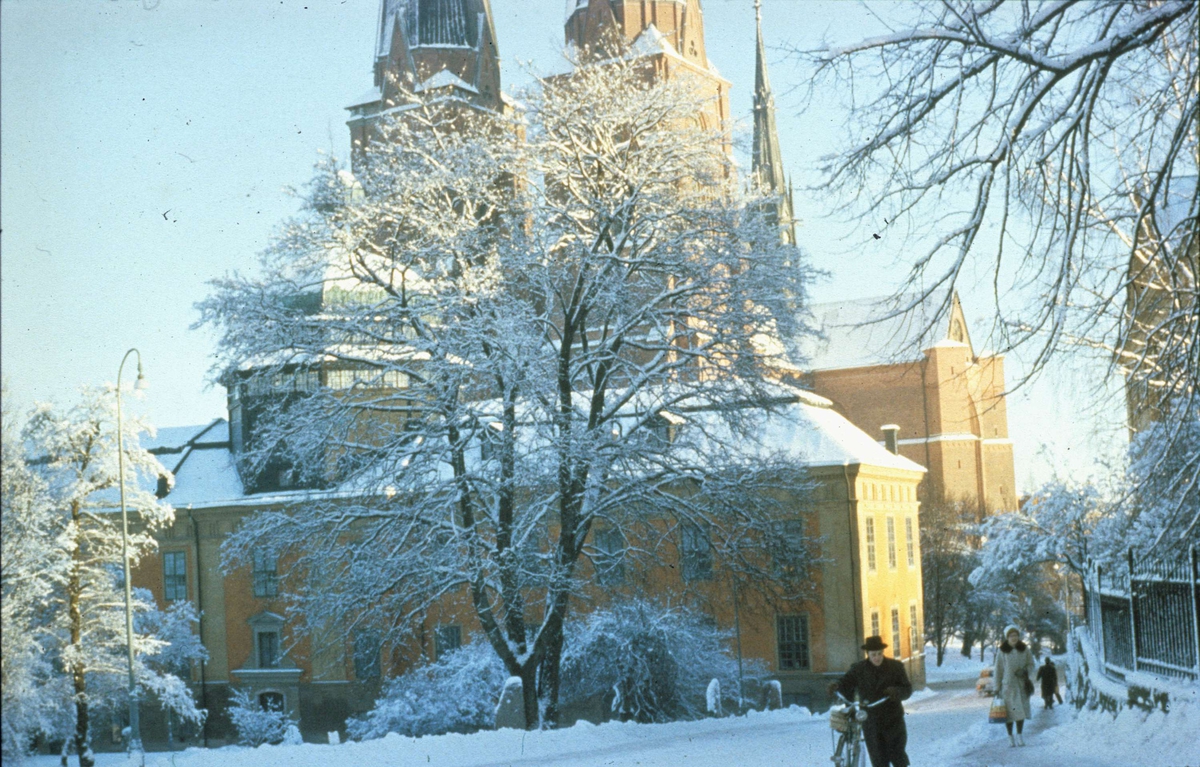 Gustavianum i Uppsala 1960