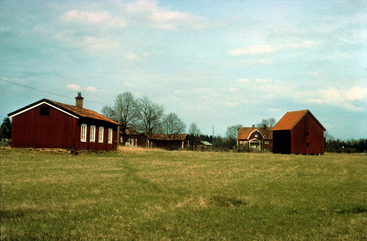 Kyrka, Plantyp-Enskeppig, Salkyrka