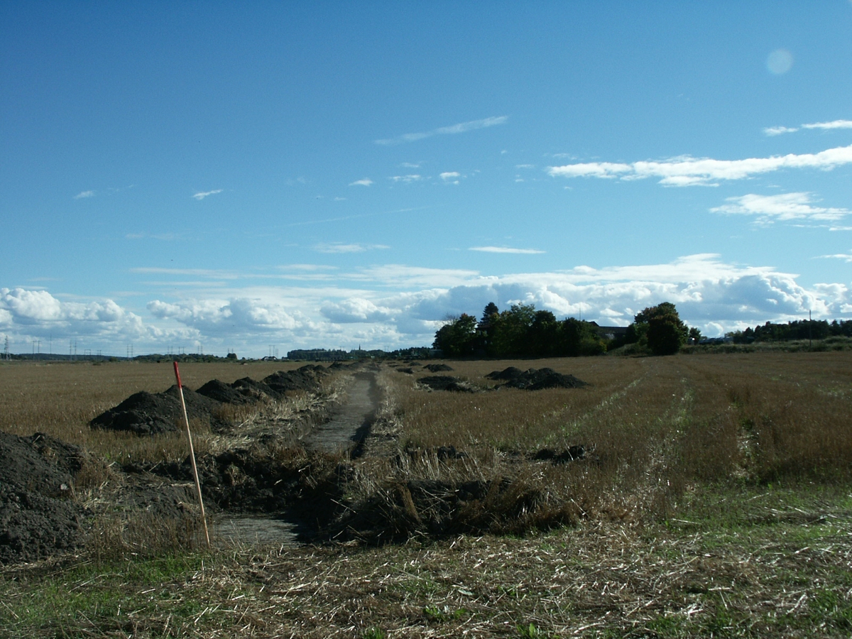 Arkeologisk förundersökning, Lövstaholm, Gamla Uppsala, 2003