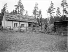 Kvinnor och man framför Lovisa Jansdotters torp på gränsen mellan Litslena by och Hällby gård, Litslena socken, Uppland, 1910-tal