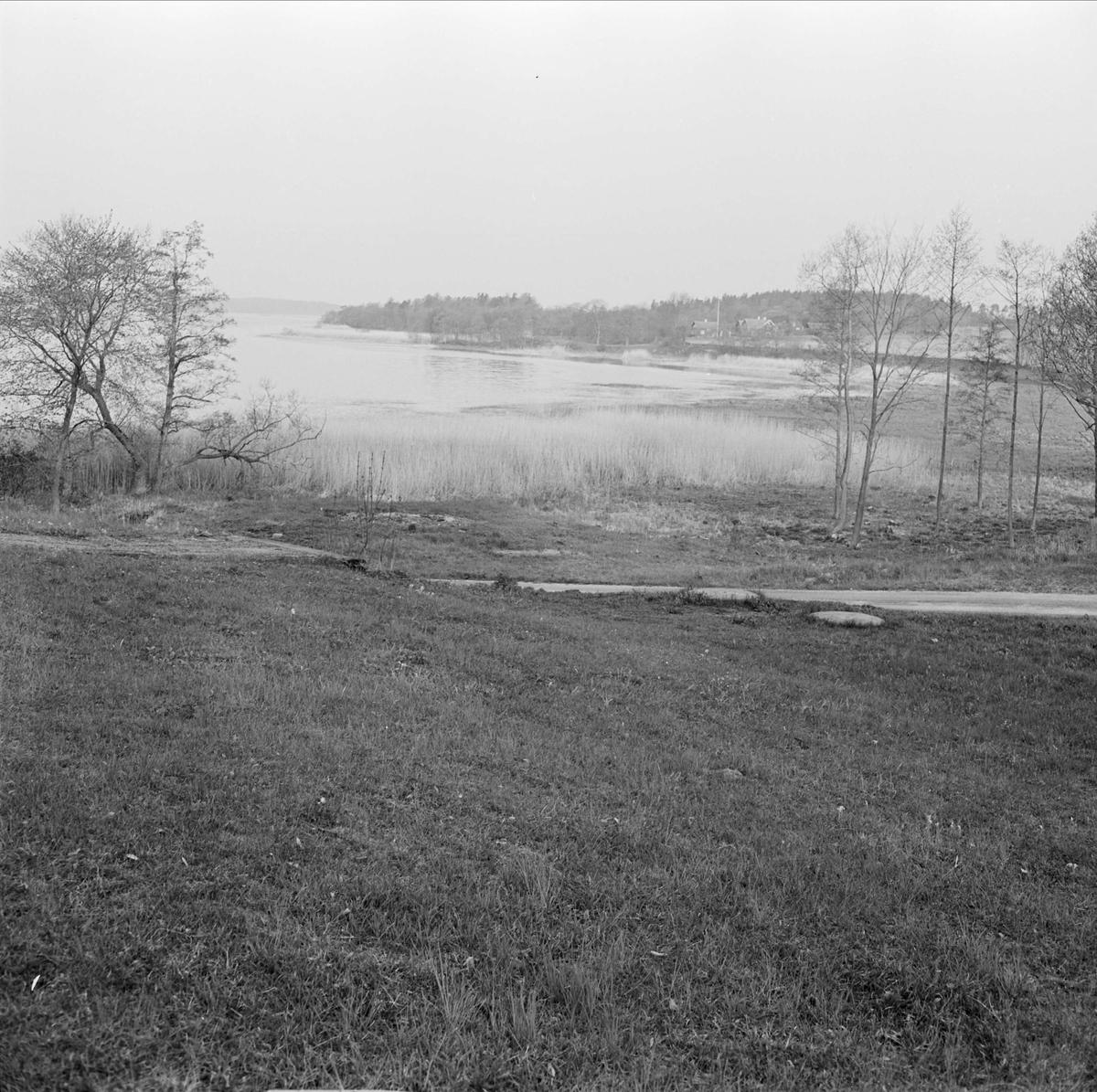 "Tidig morgon i maj" - Lårstaviken vid Wiks slott, Vik, Balingsta socken, Uppland maj 1965