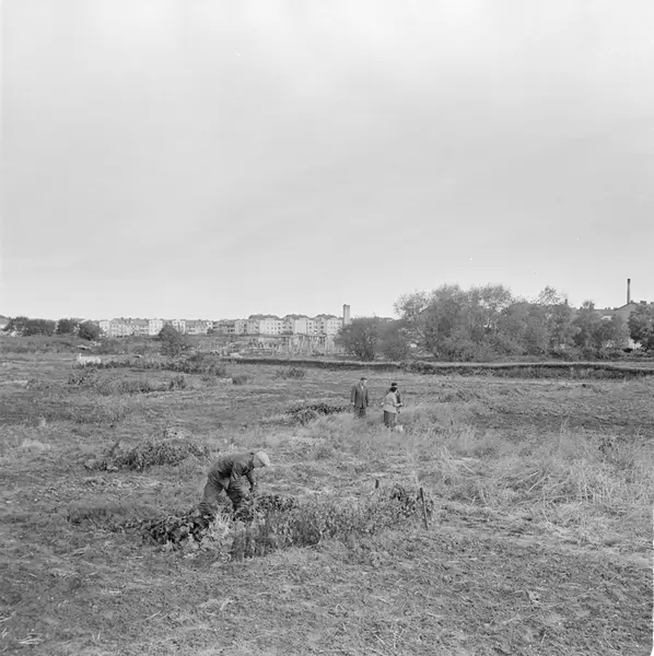 Ängarna vid Folkskoleseminariet, kvarteret Seminariet i Luth