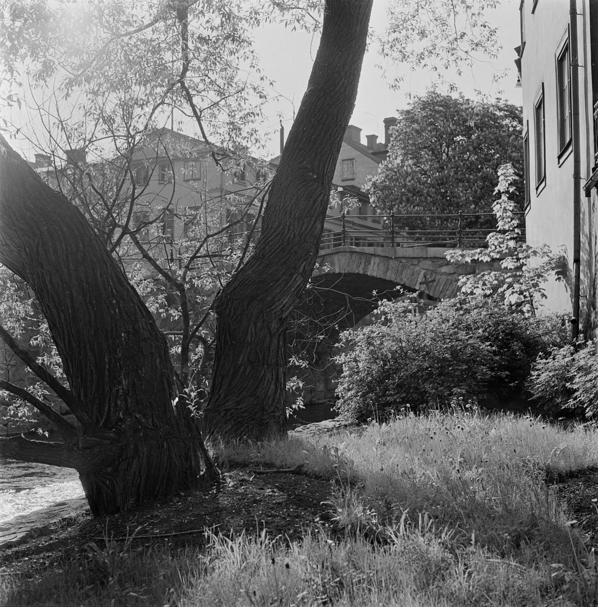 Kvarteret Holmen vid Fyrisån med Dombron i bakgrunden, stadsdelen Fjärdingen, Uppsala