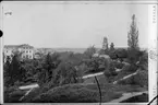 Reprofotografi - vy över Carolina Rediviva, Uppsala domkyrka och Gunillaklockan, Uppsala 1886