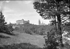 Vy från Uppsalaåsen över Akademiska sjukhuset, Uppsala slott och Uppsala domkyrka, från sydost, 1892