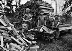 Barn hämtar ved, maj 1936. Fyra av pojkarna har likadana kläder