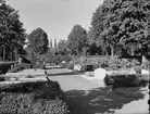 Uppsala gamla kyrkogård, Kungsgärdet, Uppsala 1950