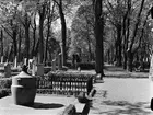 Uppsala gamla kyrkogård, Kungsgärdet, Uppsala 1950