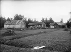 Gårdsmiljö - Zetterberg, Hållen, Hållnäs socken, Uppland, sannolikt 1920-tal