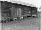 Portlider och bodar hos Erikssons, Skäve, Vaksala socken, Uppland sannolikt 1920-tal