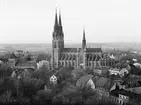 Stadsvy med Uppsala domkyrka och Helga Trefaldighets kyrka