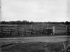 Väg och gärdesgårdar, Hållen, Hållnäs socken, Uppland juli 1935