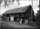 Fähus och stall, E Johanssons, Nybergen, Nyvla, Bälinge socken, Uppland, sannolikt 1920-tal