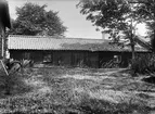 Uthus vid gamla prästgården, Danmarks socken, Uppland, sannolikt  1920-tal