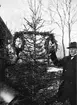 Kantor EH Ahlin vid rekonstruktion av julgranar klädda med kransar och målade ägg, Knivsta socken, Uppland 1935