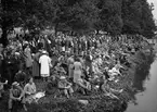 Publik på Fyrisåns strand vid simtävlingen Strömsimningen