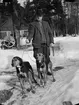 Man med hundar, Uppland 1941