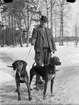 Man med hundar, Uppland 1941