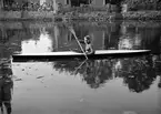 Man paddlar kajak i Fyrisån, Uppsala 1934