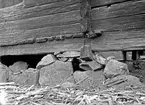 Loge - nu på friluftsmuseet Disagården - på ursprunglig plats, Gråmuren, Björklinge socken, Uppland