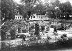 Linnéträdgården med orangeriet, kvarteret Örtedalen, Uppsala