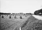 Sädesskylar, Lantbrukshögskolan, Ultuna, Uppsala 1940