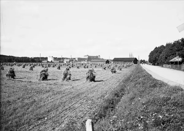 Sädesskylar, Lantbrukshögskolan, Ultuna, Uppsala 1940