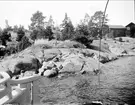 Berghällar på strand vid Öregrund, Uppland i juli 1924