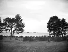 Landskapsvy med Dalälven, Hedesunda, Gästrikland i maj 1915