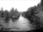 Dalälven vid Älvkarleö, Älvkarleby socken, Uppland 1924