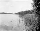 Gillfjärden vid Uddeboö, Estuna socken, Uppland juli 1927