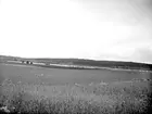 Landskapsvy med Hallsjön, markvegetation, strand och åkermark i Huddunge socken, Uppland i juni 1925