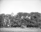 Kyrkomiljö vid Alsike kyrka, Alsike socken, Uppland september 1920