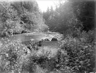 Örsundaån nära Vilstena, Altuna socken, Uppland,  juli 1927