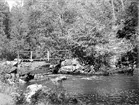 Örsundaån, Hårsbäcksdalen, Altuna socken, Uppland juli 1929