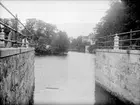 Damm i Lövstabruk, Österlövsta socken, Uppland juli 1921