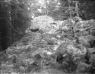 Stenmur vid Skutters skans fornborg i Stav, Simtuna socken, Uppland i augusti 1928