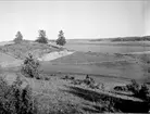 Landskapsvy nära Storvreta, Ärentuna socken, Uppland 1931