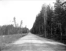 Väg i Älvkarleby socken, Uppland maj 1929