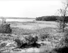 Sjön Fladen vid Uddnäs, Almunge socken, Uppland juni 1933