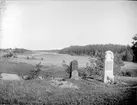 Landskapsvy med sjön Närdingen, Edsbro socken, Uppland 1934