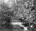 Åloppebäcken vid Åloppe, Bälinge socken, Uppland september 1936