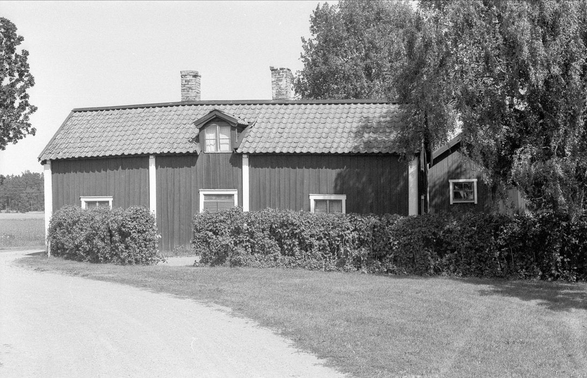 Bostadshus, källare och källarbod, Gäsmesta 1:7, Börje socken, Uppland 1983