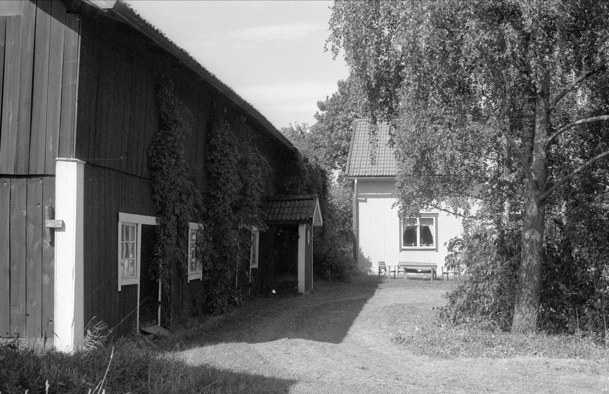 Stall och ladugård, Mångsbo 1:12, Börje socken, Uppland 1983