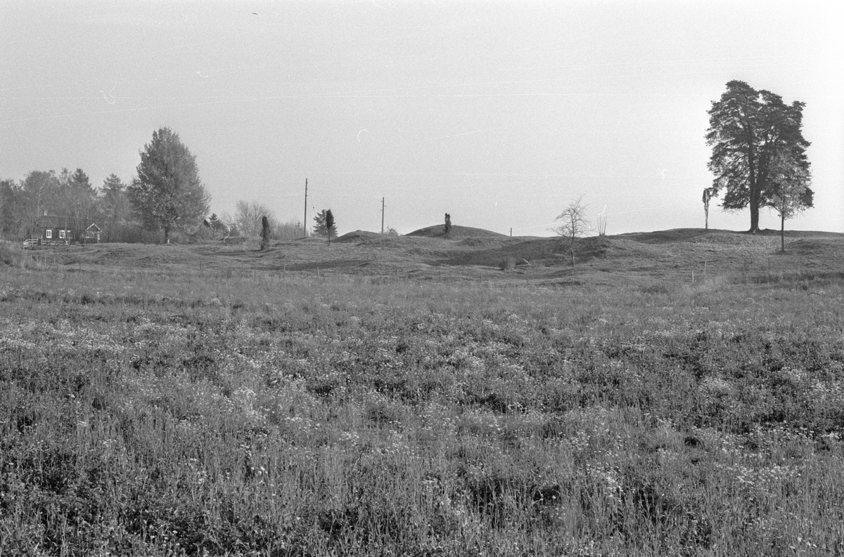 Gravfältet vid Husby, Lena socken, Uppland 1977