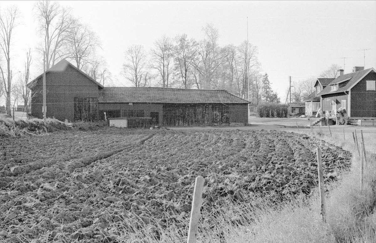 Bodar och lider, Kungsgården 3, Gamla Uppsala 77:8, Gamla Uppsala, 1978