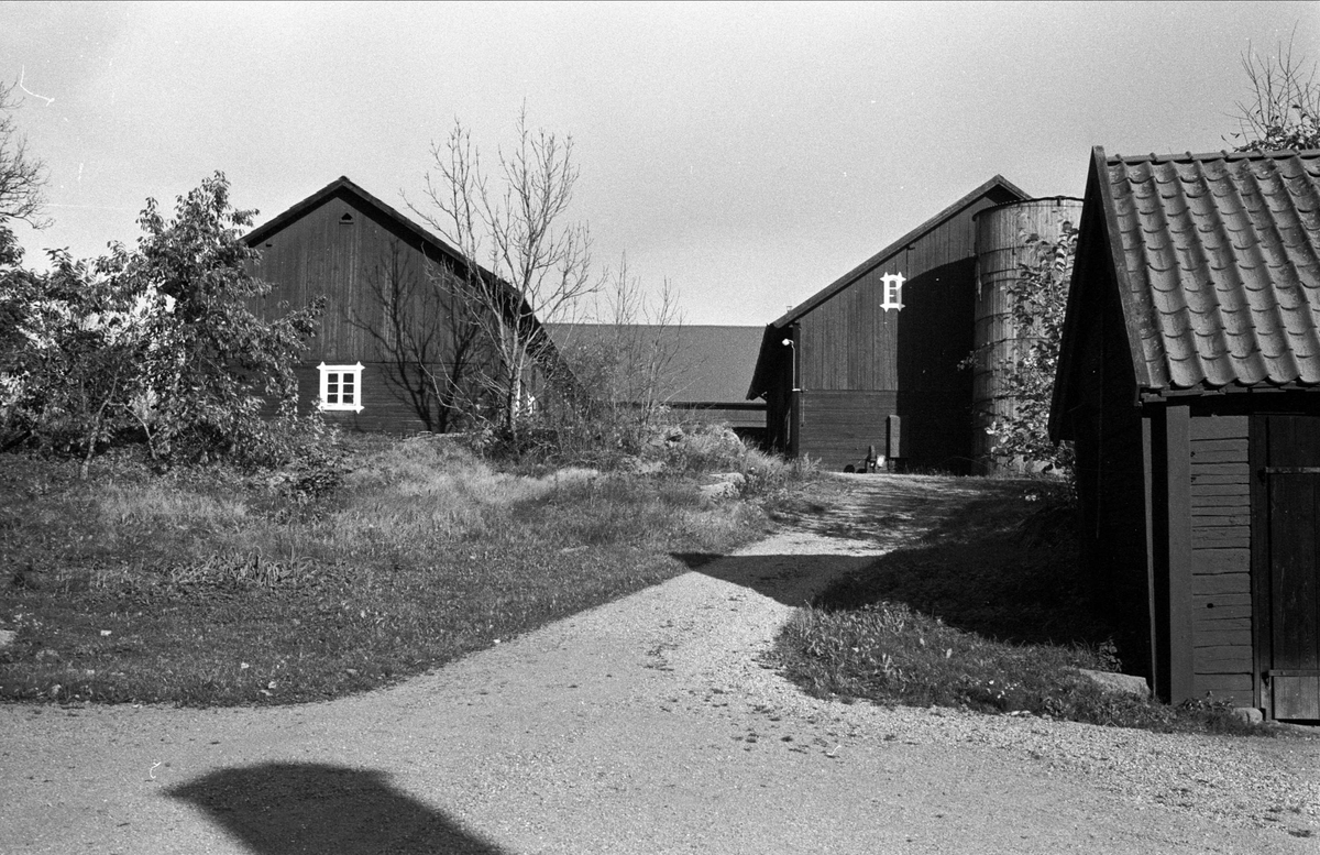 Stall, magasin, ladugård och bodlänga, Balingsta 1:1, Balingsta socken, Uppland