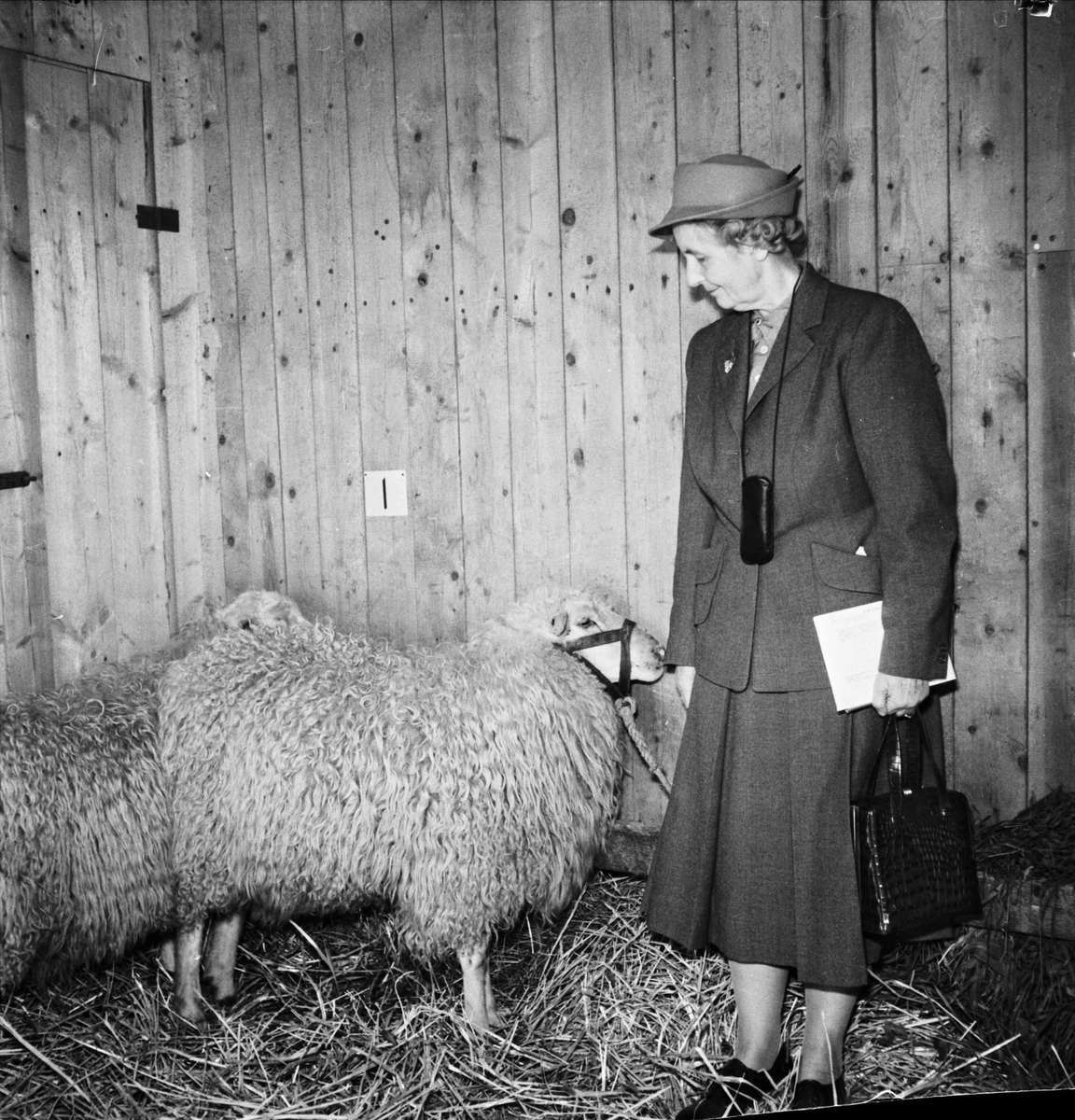 Baggauktion i Uppsala september 1952